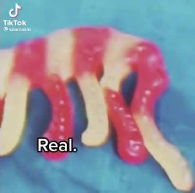 that don’t sound like no elephant ☠️