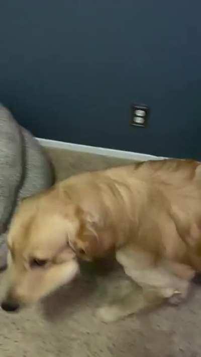 Ghost carrying 4 balls!