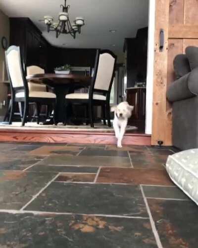 Get that god damn camera out of my face, Karen!