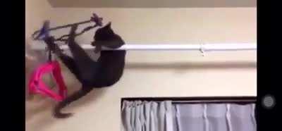 Высокогорный горячий котэ))