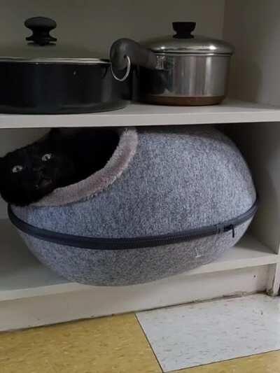 Alright guys, you asked and you shall receive.....I couldn't decide on just one Gravy screm so you get a compilation!