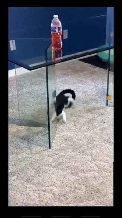 A small miscatculation