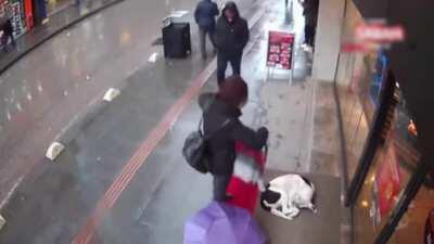 This woman gives her scarf to the dog so that it doesnt get cold