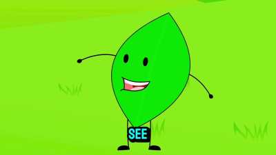 What do you think about this BFDI music video?