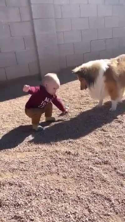 first time playing, fetch...