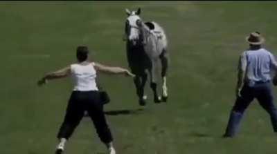 This woman really thought she could singlehandedly stop a charging horse 😅