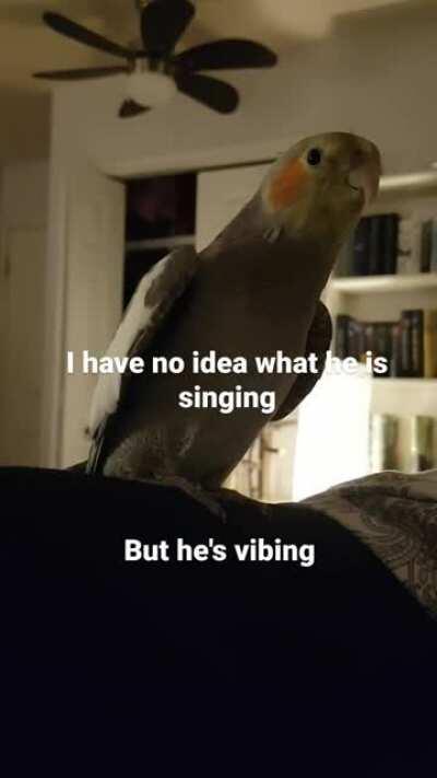 My baby boy is learning to sing