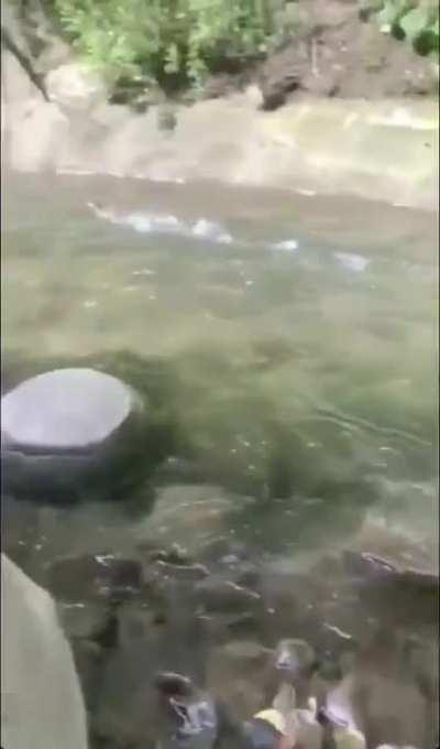 Running for your life