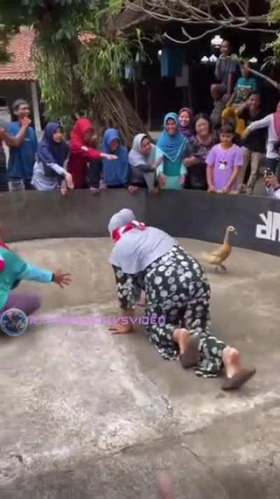 A different type of duck hunt