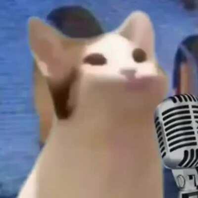 Não tem título para comentar isso '-'