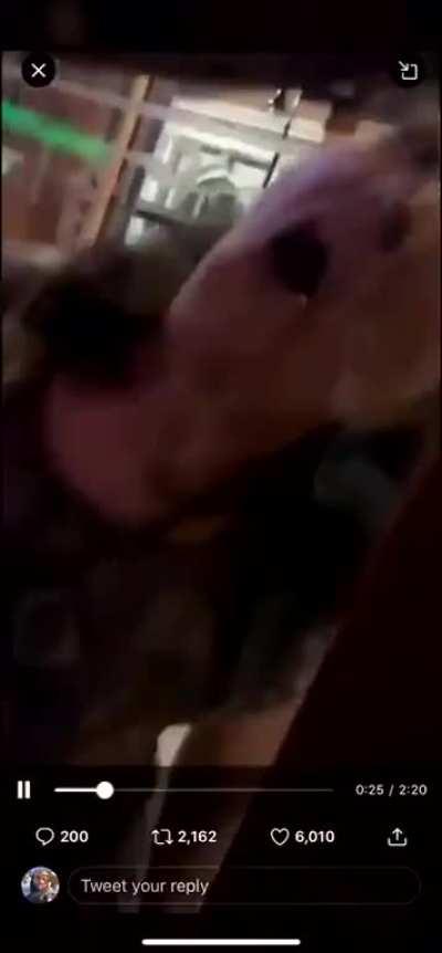 Deranged Karen mad about mask requirement