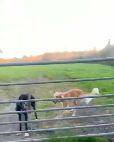 I feel this belongs here