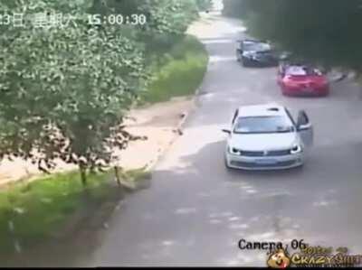 Tiger kidnaps woman