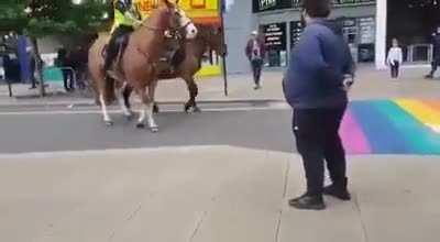 Умные лошадки