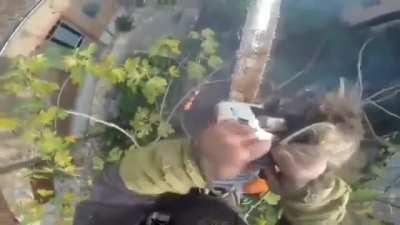 Got in a pretty big pickle there