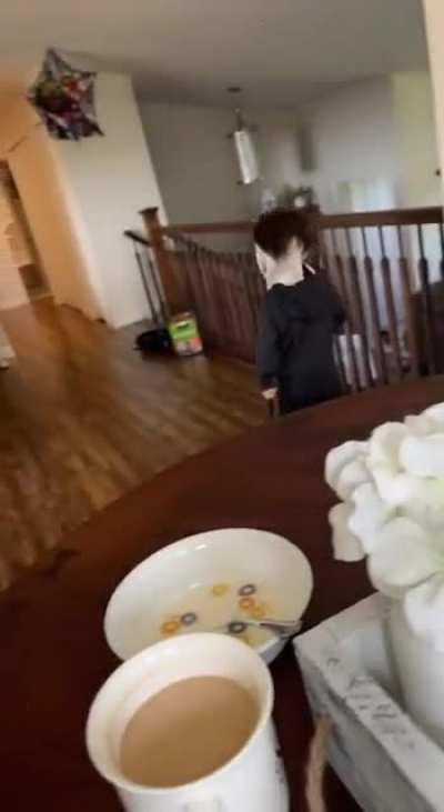 found this on tiktok