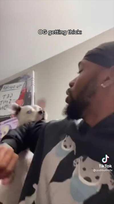 doG taKeS rEvENgE aFTeR VicIous AssauLT