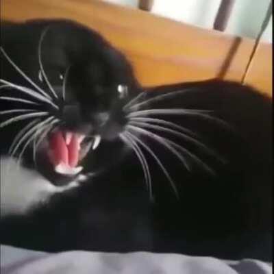 Error found. Press any key to continue.