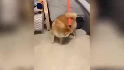 No hay mejor meme para decirle a moai que esta de pana a serie de dark souls B)