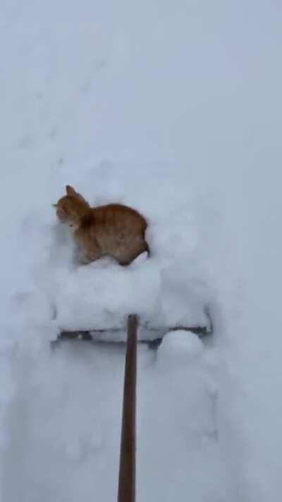 Snow removal inspector