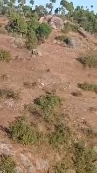 Probably shit their pants