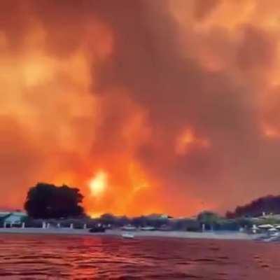 Now Greece. Wild fire on Evia Beach