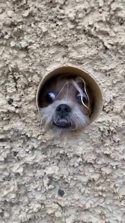 Does he thinks he is a spying or something?