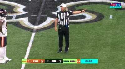 What the *Dolphin Noises*