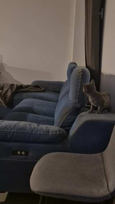 Opinion on a recent introduction.