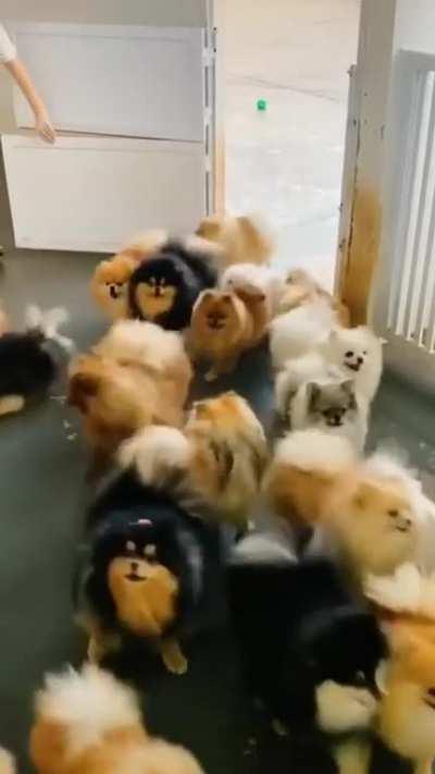 I Want To Be In That Yard.....