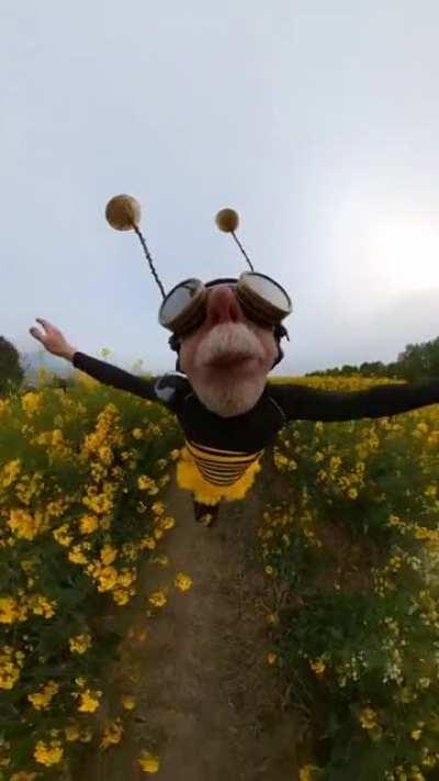 My dog stepped on a bee