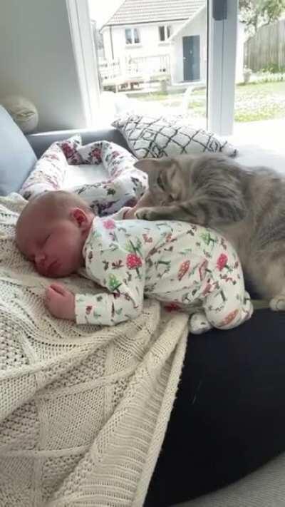 Human, don't forget about me