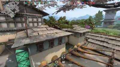 How to destroy bug abusers