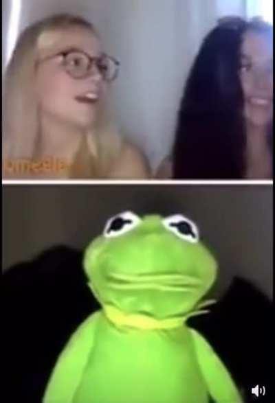 Kermit is up to something questionable...