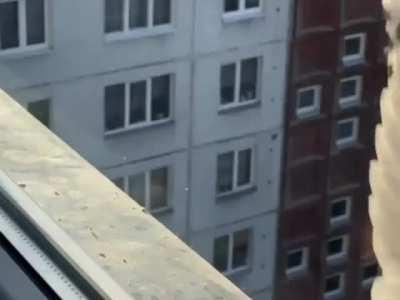 Difference between a seagull and crows accuracy