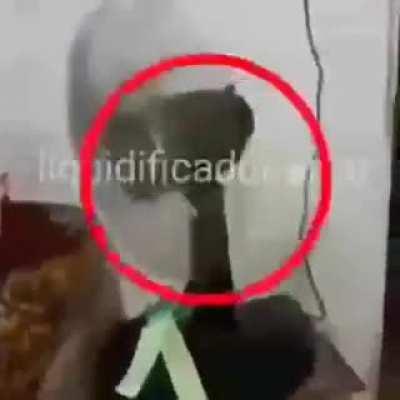 Liquidificador arno (estourado)