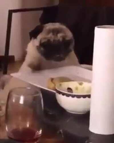 Found it on the internet. Looks like Maya. So cute!!!