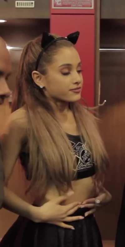 Perfect Little Kitten