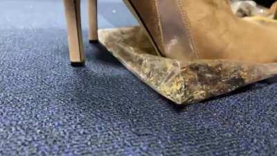 Cricket juice comes out of the bag