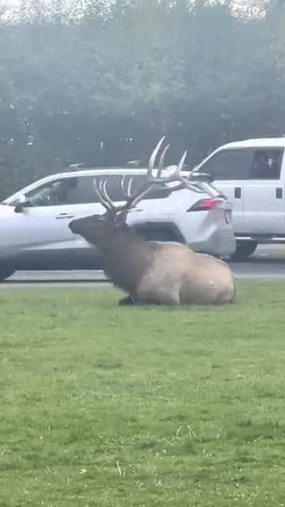 Too much things going in in this video (use sound as well)