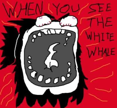 WHITE WHALE