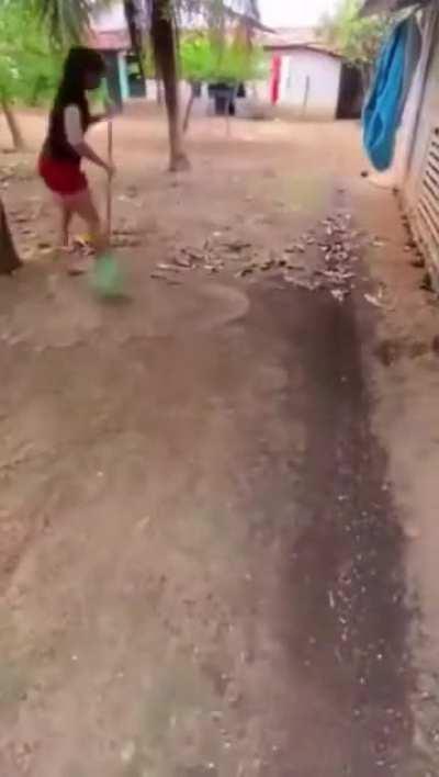 Raking all the leaves from an entire farm compound