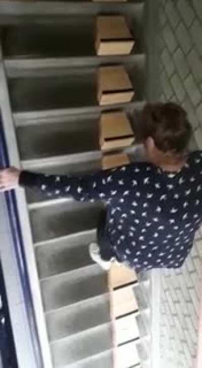 My grandma was having trouble going up and down the stairs every day but didn't want to move to a different apartment without them, since she's in a good place now. We decided to suprise her with these easysteppers. They work as a charm!