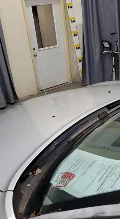 That little guy? I wouldn't worry about that little guy.