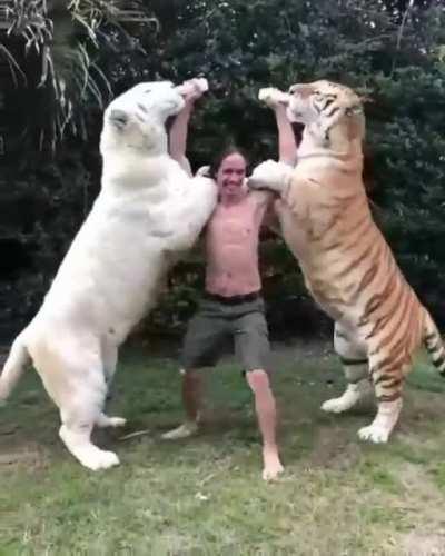 Why do people do this