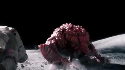 Платформосрач