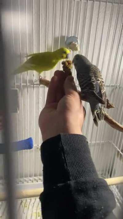 Am I doing this right?