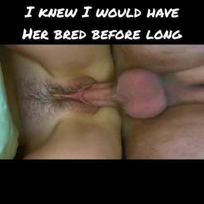 Fucking Like Animals