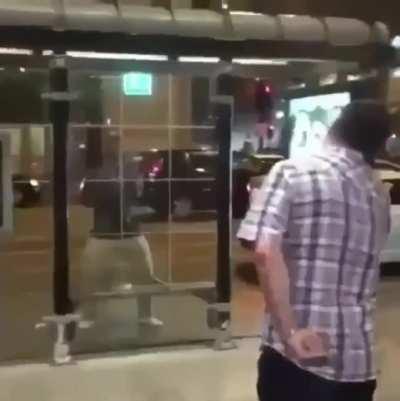 An average day on the Streets.