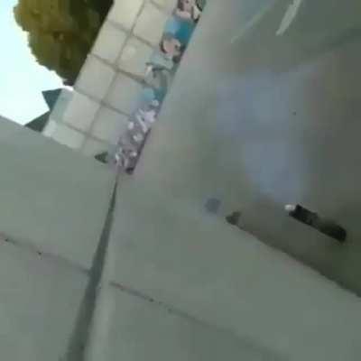 BeelcitosMemes - Video #8552